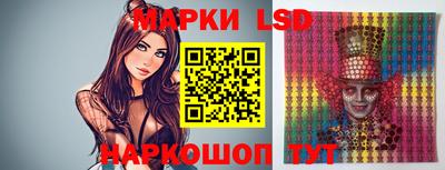 гидра Вязьма