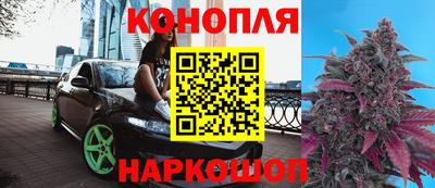 гидра Вязьма