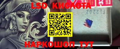 ПСИЛОЦИБИНОВЫЕ ГРИБЫ Вязники
