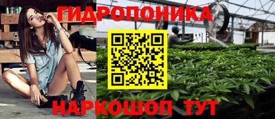 тгк Вышний Волочёк