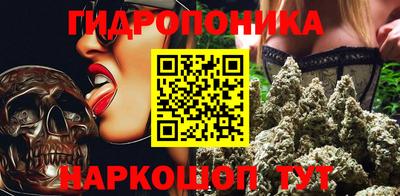 гидра Вязьма