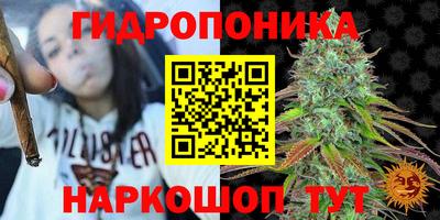 тгк Вышний Волочёк