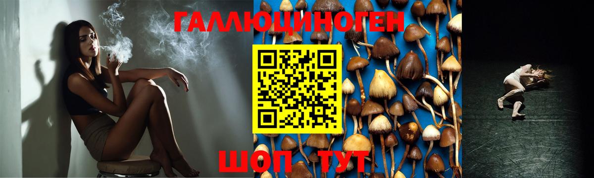 Галлюциногенные грибы Cubensis  как найти наркотики  Каменск-Шахтинский  Вход с VPN 